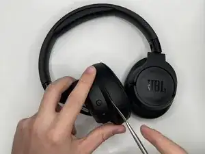 Ear Pads