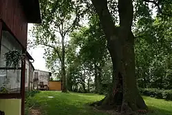 Old manor park in Łyniec