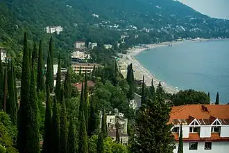 Coastline of Gagra