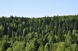 Salairsky Nature Park, Guryevsky District
