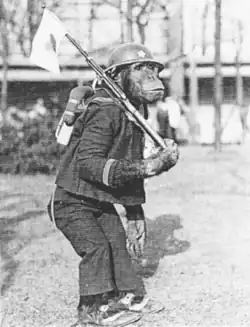A chimpanzee dressed as a soldier, carrying a rifle and Japanese flag