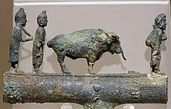 Dian people with an ox