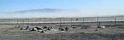 A dust storm forms over the dry Searles Lake bed, taken from the Searles Valley rest stop.