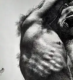 Torso I. pen drawing 29 x 42 cm, 1999