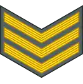 Sergeant (Namibian Army)[80]