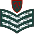 Staff sergeant (Gambian National Army)