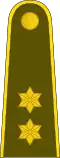 Vyresnysis leitenantas (Lithuanian Land Forces)[14]
