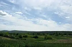 A farm in Brush Creek Township