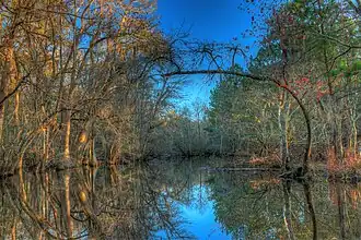 Seventeen Mile River