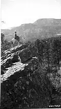 The Forest Supervisor near Mount Taylor in 1925. Photo: US Forest Service.