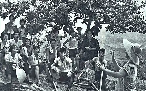 Young people under a tree listening to a woman talking