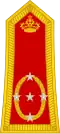 Général d'armée (Royal Moroccan Army)[17]