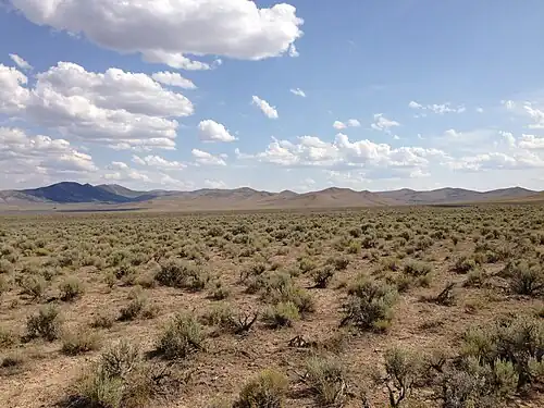 Sagebrush steppe in northeastern Nevada along US 93