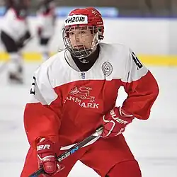 A person in a Denmark ice hockey kit stands on the ice