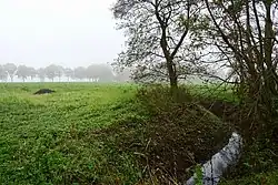 Landscape near Nieuw-Annerveen