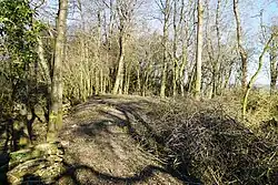 Under the branches, the funnel formed by the central shaft of Charmont.