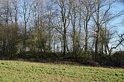 The slag heap of the central shaft of Charmont.