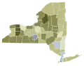 New York 2021 Proposal 1 results by county