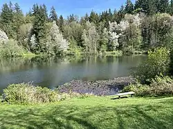 View across a small lake