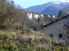 A general view of Surba