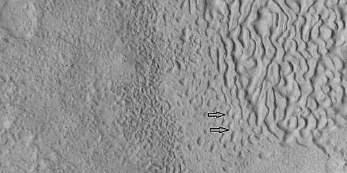 Brain terrain being formed, as seen by HiRISE under HiWish program Note: this is an enlargement of a previous image using HiView. Arrows indicate spots where brain terrain is beginning to form.