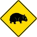 (W5-48) Wombats Crossing