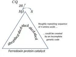 Ferredoxin catalyses the splitting of hydrogen sulfide, its earliest repeating amino acid sequence perhaps coded for by an incomplete genetic code.[44]