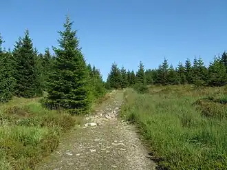 The Reitstieg on Auf dem Acker