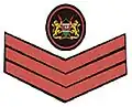 Administration Police Insignia