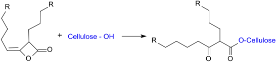 Reaction of alkyl ketene dimer (AKD) with Cellulose