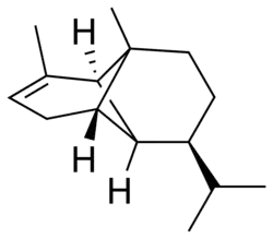 α-copaene