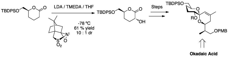Alpha hydroxylation highlighted in the synthesis of okadaic acid