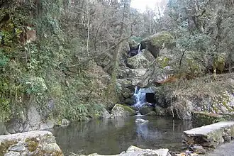 An alpine mountain stream that merges with Eastern Nayar, near Sundargaon, Thalisain