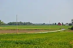 Soybean fields south of Vanlue on County Road 26