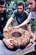 A tuber weighing 117 kg, which produced three inflorescences simultaneously in May 2006 at the Botanic Gardens, Bonn