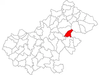 Location in Satu Mare County