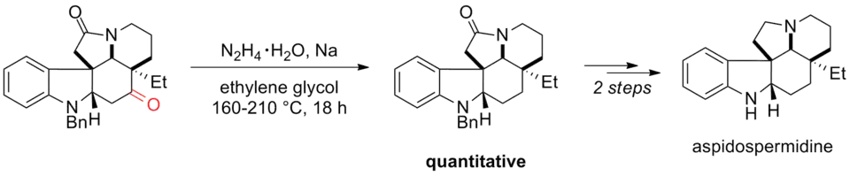 Scheme 18. Synthsesis of Aspidospermidine