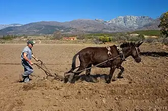 Plowing (2012)