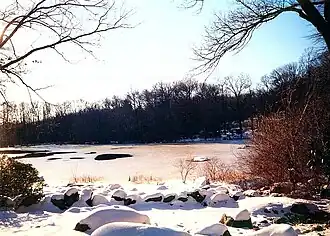 Part of the arboretum in winter.