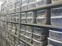 silk storage plankton plastics