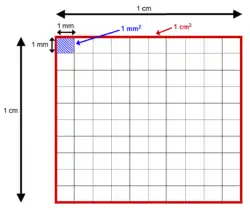 A diagram showing the conversion factor between different areas