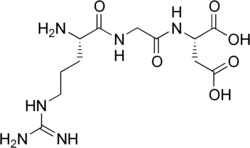 Stereo, skeletal formula of arginylglycylaspartic acid