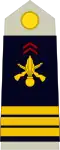 Capitaine French Army