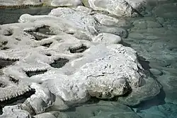 Formations in the Artemisia Geyser
