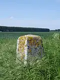 Border stone on the Belgian-Dutch border.