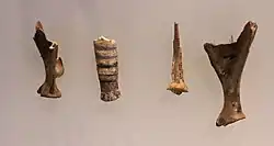 Aurignacian Culture incised animal bones, Hayonim Cave, 28,000 BP.