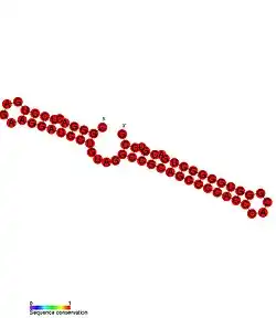 b55: Secondary structure taken from the Rfam database. Family RF01783