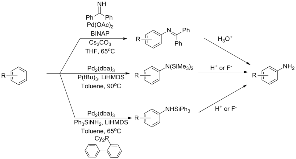 Ammonia equivalents in the Buchwald–Hartwig amination