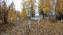 Two parallel rows of three white crosses, one at left and one in the centre, on a mostly dirt terrain covered with autumn leaf litter. The background is dominated by trees with dark yellow leaves, and one leafless bush with a dark trunks is at left behind the first cross.