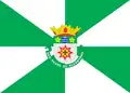 Flag of São Pedro de Alcântara, Santa Catarina